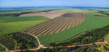 Com até 15 nutrientes em um único pellet, organominerais impulsionam atividade biológica do solo e melhoram desempenho agronômico em períodos de estresse