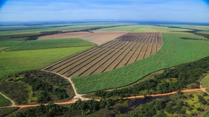 Com até 15 nutrientes em um único pellet, organominerais impulsionam atividade biológica do solo e melhoram desempenho agronômico em períodos de estresse