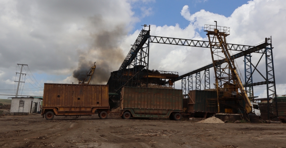 Mais de 18,5 milhões de toneladas foram esmagadas na safra 23/24 - Foto: Assessoria