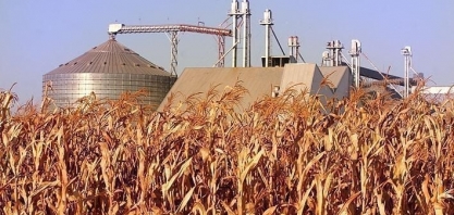 Produção brasileira de etanol de milho deve atingir recorde em 2024