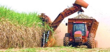 Sindaçúcar-AL: safra 23/24 ultrapassa 17,4 milhões de toneladas de cana processadas