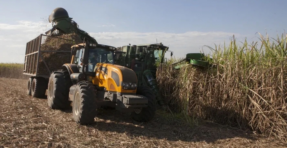 Oportunidades são para atuar em projeto que monitora o ciclo logístico e melhorias de produtividade na colheita da cana-de-açúcar — Foto: Marcelo Min