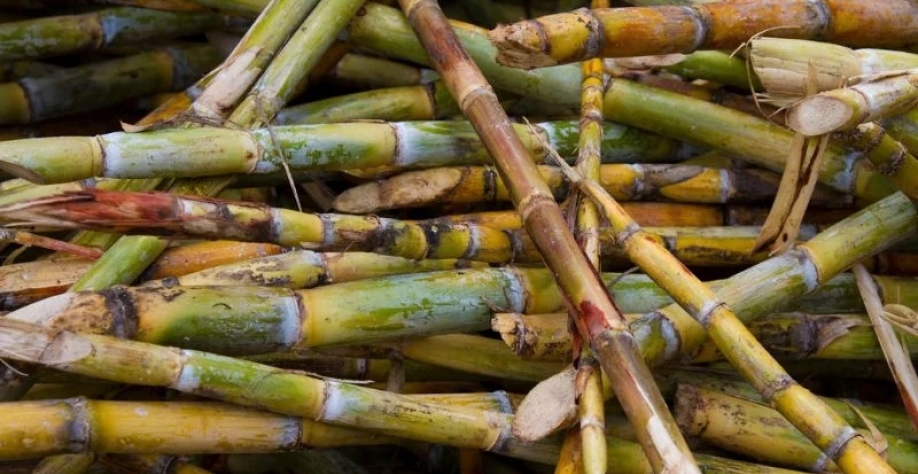 Produção melhor do que o esperado na Ásia compensou os cortes no México e Brasil. Getty Images