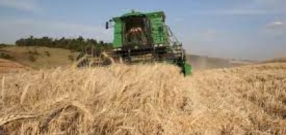 Conab: 6ª previsão da safra 2023/24 indica produção de 295,59 mi/t (-7,6% ante 2022/23)