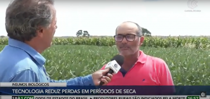 Mesmo em condições climáticas adversas, produtor de Londrina/PR alcança média de 160 sacas por alqueire com manejo biológico