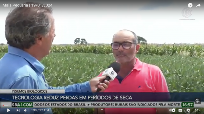 Mesmo em condições climáticas adversas, produtor de Londrina/PR alcança média de 160 sacas por alqueire com manejo biológico