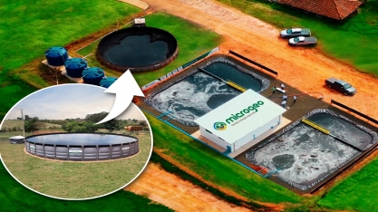 Microgeo registra crescimento recorde em 2023, impulsionando a comercialização de biológicos na agricultura nacional