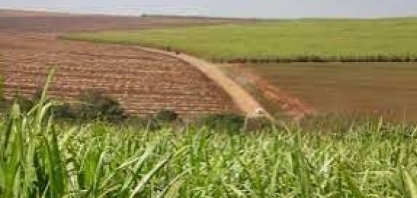 Mais de 8 milhões de CBios são aposentados na primeira quinzena de março