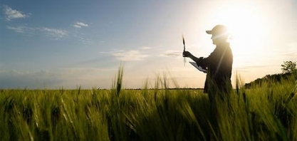 Recuperação judicial no agro torna crédito caro e renegociação é saída, diz Abiove