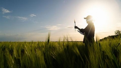 Recuperação judicial no agro torna crédito caro e renegociação é saída, diz Abiove
