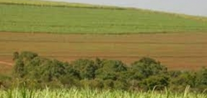 RenovaBio: distribuidores tem até o dia 29/3 para realizar aposentadoria de CBIOs na B3 para cumprimento das metas de descarbonização de 2023