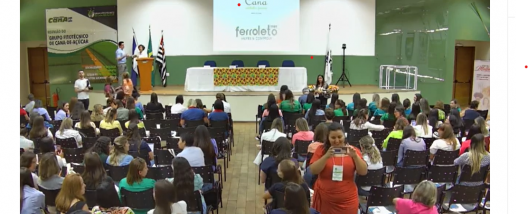 12º Encontro Cana Substantivo Feminino será híbrido – presencial e com transmissão on-line