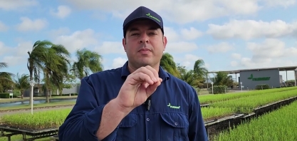 Variedades de cana que oferecem melhor resposta em ambientes restritivos é um dos focos na Nuseed