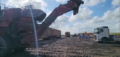 Frente de colheita de cana mecanizada na Usina Caeté em Alagoas