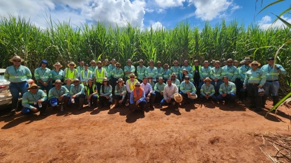 2º encontro Técnico de Variedade de Cana analisa 36 variações da planta