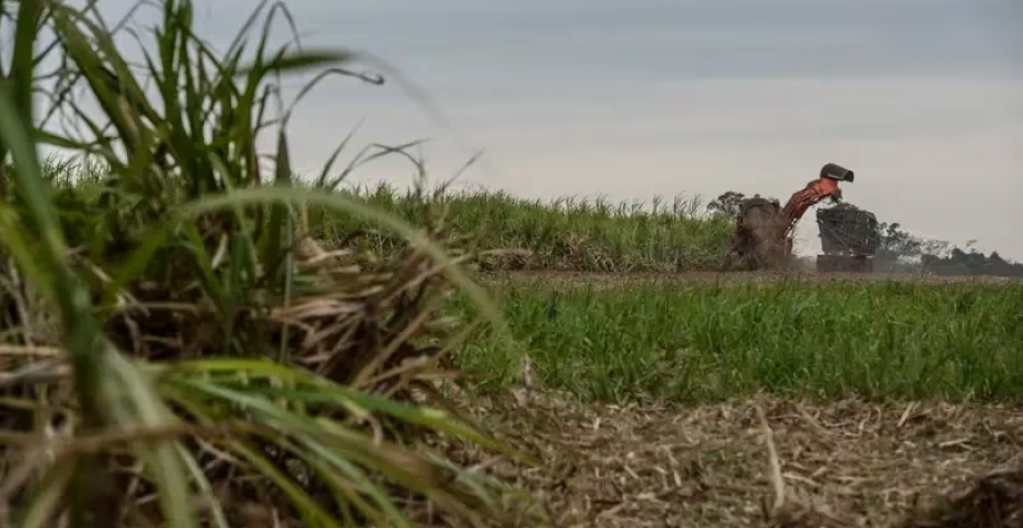Raízen mira novas captações em dívida verde após confiança do mercado, diz CFOProdução sustentável de cana-de-açúcar, como a da Raízen, atrai investidores no mercado externo (Foto: Paulo Fridman/Bloomberg)(Bloomberg/Paulo Fridman)
