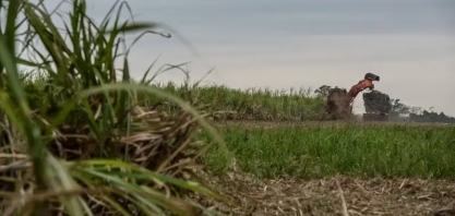 Raízen mira novas captações em dívida verde ante confiança do mercado, diz CFO