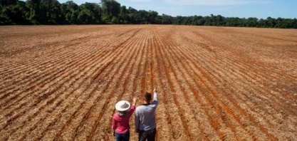 Em 2023, número de pessoas trabalhando no agronegócio é recorde, mostra levantamento do Cepea