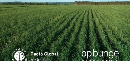 Empresa Cidadã: BP Bunge adere à programa que amplia licenças maternidade e paternidade