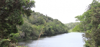 Setor sucroenergético reforça atuação em defesa do meio ambiente