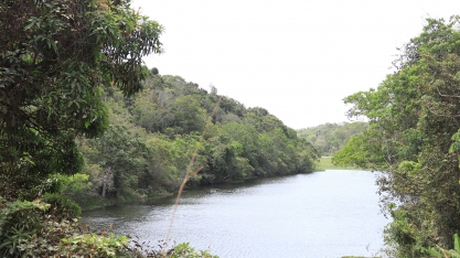 Setor sucroenergético reforça atuação em defesa do meio ambiente
