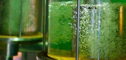 Demanda global por etanol em 2050 será 9 vezes a atual