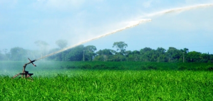 Sustentabilidade da Agricultura e do Uso da Água