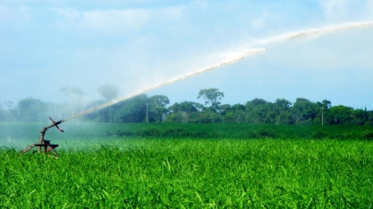 Sustentabilidade da Agricultura e do Uso da Água
