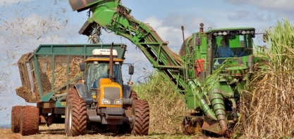 Abertura de safra: Datagro estima a produção 2024/25 de cana do Centro-Sul em 592 mi de t