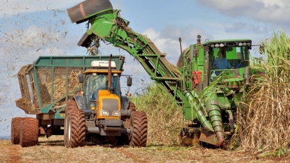 Abertura de safra: Datagro estima a produção 2024/25 de cana do Centro-Sul em 592 mi de t