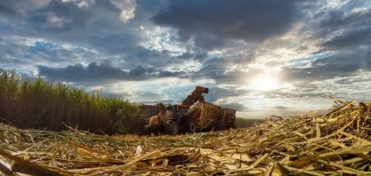 Minas Gerais atrai investimentos para fortalecer o mercado de biocombustíveis
