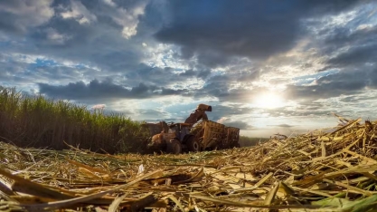 Minas Gerais atrai investimentos para fortalecer o mercado de biocombustíveis