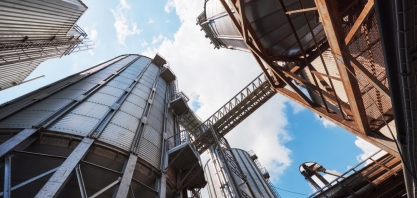 Cepa de levedura criada na USP produz etanol de segunda geração a partir de açúcares complexos