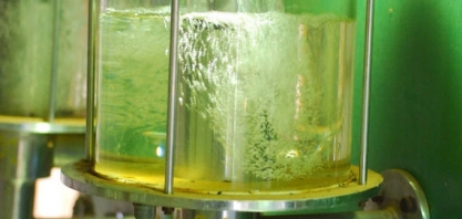 Etanol: sobreviver para avançar!