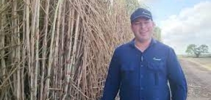 A recém-lançada Vertix 12, variedade rústica de alta produtividade em ambientes restritivos