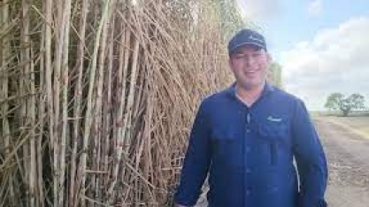 A recém-lançada Vertix 12, variedade rústica de alta produtividade em ambientes restritivos