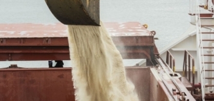 Soja e açúcar impulsionam embarques dos portos paranaenses em fevereiro