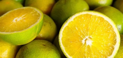 Preço da laranja atinge recorde histórico em São Paulo
