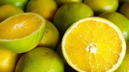 Preço da laranja atinge recorde histórico em São Paulo