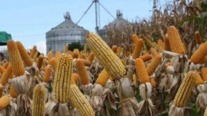 Empresários apresentam ao governador projeto de indústria de etanol de milho no sudeste paraense