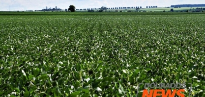 Projeto cria programa de incentivos para fortalecer indústria nacional de fertilizantes