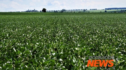 Projeto cria programa de incentivos para fortalecer indústria nacional de fertilizantes