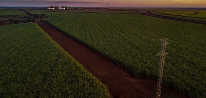 BP Bunge acerta com a TIM cobertura 4G em 3 milhões de hectares