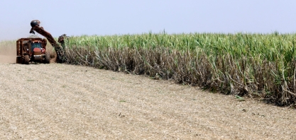 Brasil larga na frente dos EUA na corrida pelo combustível de aviação sustentável