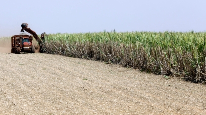 Brasil larga na frente dos EUA na corrida pelo combustível de aviação sustentável