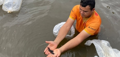 Usina Uruaçu faz repovoamento de lagoa com alevinos