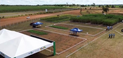 Expocanas 2024: Mato Grosso do Sul destaca-se como polo de bioenergia e inovação