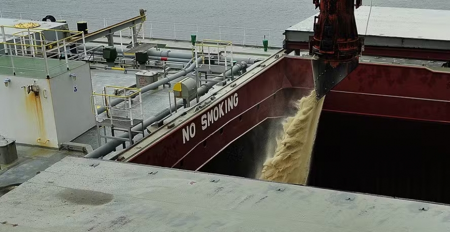 Nos primeiros três meses deste ano, o porto de Paranaguá movimentou mais de 1,5 milhão de toneladas de açúcar — Foto: Porto de Paranaguá / Divulgação