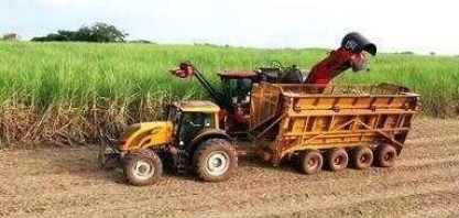 Safra da cana movimenta usinas do interior de SP