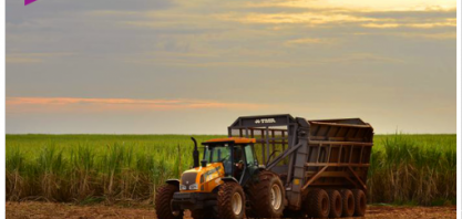Raízen recebe nova certificação Bonsucro e se consolida como maior produtora de cana-de-açúcar sustentável com o reconhecimento